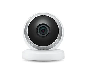 Sort By - 开云